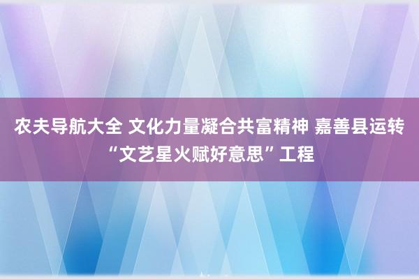 农夫导航大全 文化力量凝合共富精神 嘉善县运转“文艺星火赋好意思”工程