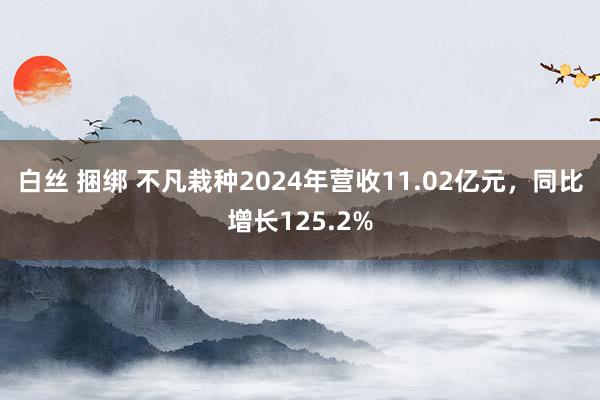白丝 捆绑 不凡栽种2024年营收11.02亿元，同比增长125.2%