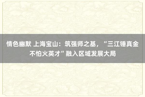 情色幽默 上海宝山：筑强师之基，“三江锤真金不怕火英才”融入区域发展大局