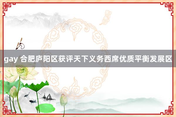 gay 合肥庐阳区获评天下义务西席优质平衡发展区