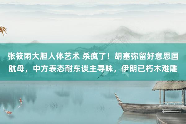 张筱雨大胆人体艺术 杀疯了！胡塞弥留好意思国航母，中方表态耐东谈主寻味，伊朗已朽木难雕