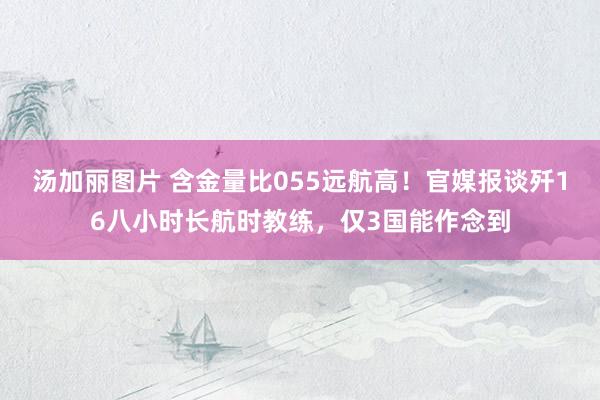 汤加丽图片 含金量比055远航高！官媒报谈歼16八小时长航时教练，仅3国能作念到
