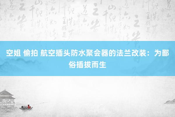 空姐 偷拍 航空插头防水聚会器的法兰改装：为鄙俗插拔而生