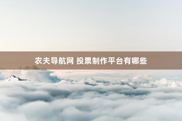 农夫导航网 投票制作平台有哪些