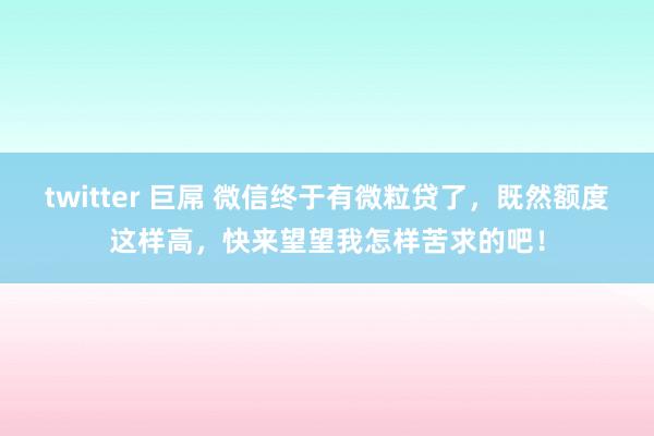 twitter 巨屌 微信终于有微粒贷了，既然额度这样高，快来望望我怎样苦求的吧！