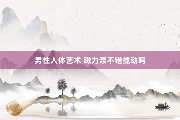 男性人体艺术 磁力泵不错搅动吗