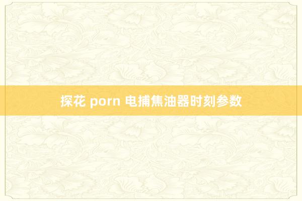 探花 porn 电捕焦油器时刻参数