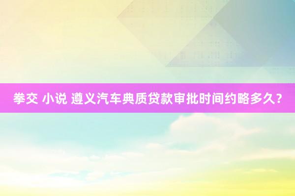 拳交 小说 遵义汽车典质贷款审批时间约略多久？