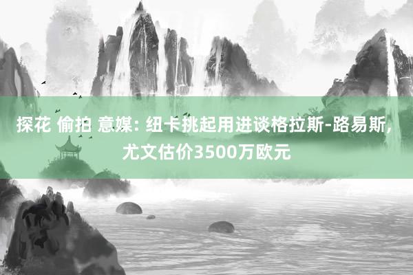 探花 偷拍 意媒: 纽卡挑起用进谈格拉斯-路易斯, 尤文估价3500万欧元