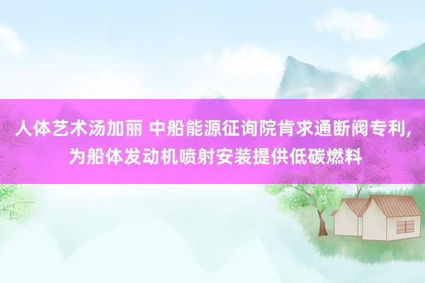 人体艺术汤加丽 中船能源征询院肯求通断阀专利, 为船体发动机喷射安装提供低碳燃料