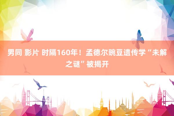 男同 影片 时隔160年！孟德尔豌豆遗传学“未解之谜”被揭开