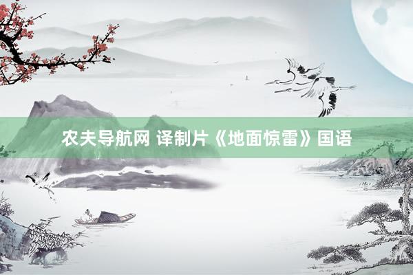农夫导航网 译制片《地面惊雷》国语