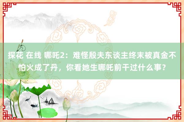探花 在线 哪吒2：难怪殷夫东谈主终末被真金不怕火成了丹，你看她生哪吒前干过什么事？