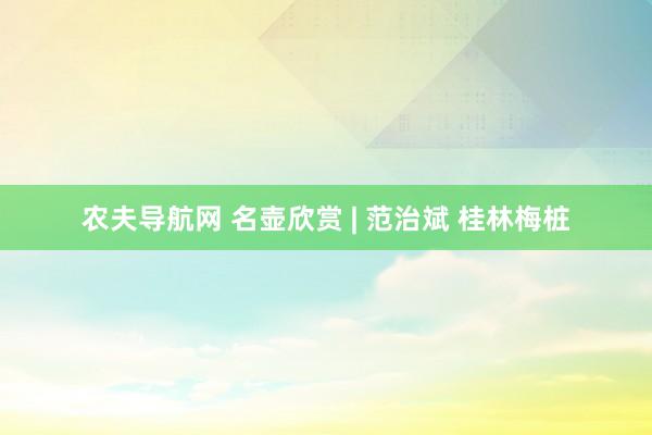 农夫导航网 名壶欣赏 | 范治斌 桂林梅桩