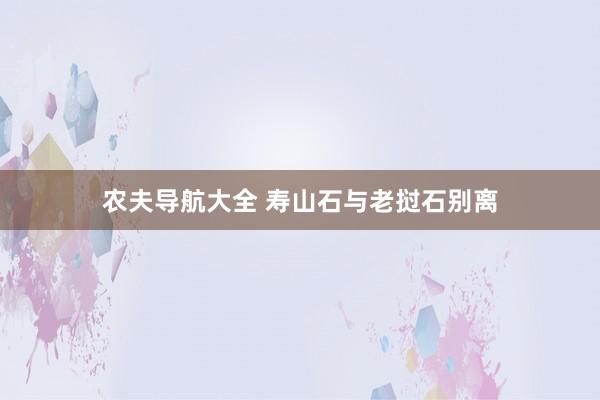 农夫导航大全 寿山石与老挝石别离