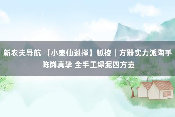 新农夫导航 【小壶仙遴择】觚棱｜方器实力派陶手 陈岗真挚 全手工绿泥四方壶