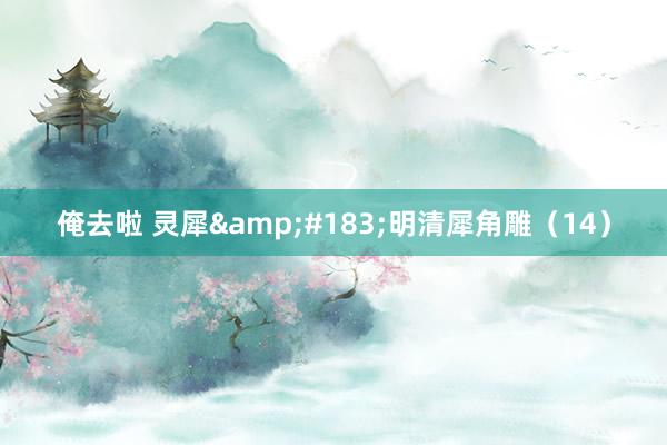俺去啦 灵犀&#183;明清犀角雕（14）
